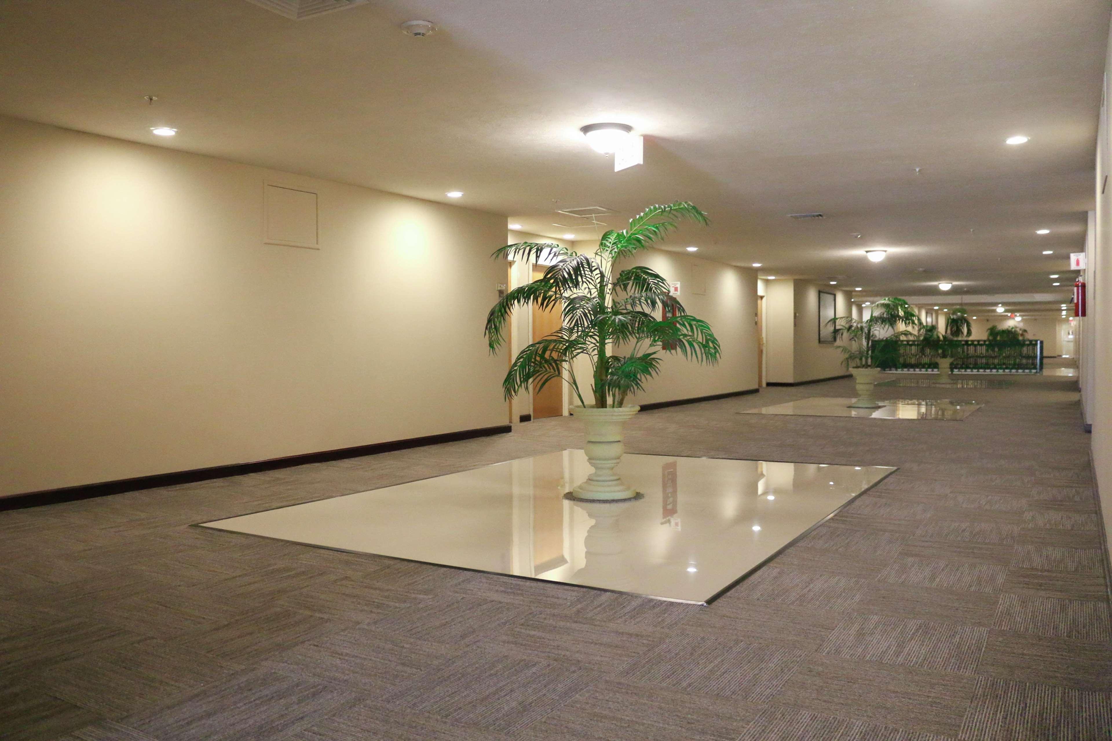 Hampton Inn Tampico Zona Dorada Luaran gambar